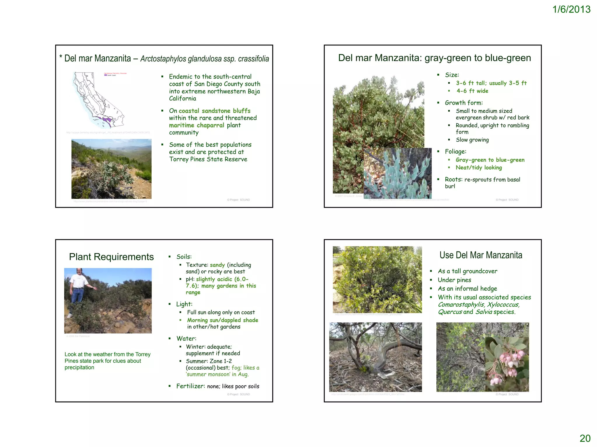 1/6/2013



* Del mar Manzanita – Arctostaphylos glandulosa ssp. crassifolia                                                               Del mar Manzanita: gray-green to blue-green
                                                                                Endemic to the south-central                                                                                                                             Size:
                                                                                 coast of San Diego County south                                                                                                                                          3-6 ft tall; usually 3-5 ft
                                                                                 into extreme northwestern Baja                                                                                                                                           4-6 ft wide
                                                                                 California
                                                                                                                                                                                                                                          Growth form:
                                                                                On coastal sandstone bluffs                                                                                                                                              Small to medium sized
                                                                                 within the rare and threatened                                                                                                                                            evergreen shrub w/ red bark
                                                                                 maritime chaparral plant                                                                                                                                                 Rounded, upright to rambling
  http://ucjeps.berkeley.edu/cgi-bin/get_JM_treatment.pl?3449,3454,3470,3472     community                                                                                                                                                                 form
                                                                                                                                                                                                                                                          Slow growing
                                                                                Some of the best populations
                                                                                 exist and are protected at                                                                                                                               Foliage:
                                                                                 Torrey Pines State Reserve                                                                                                                                               Gray-green to blue-green
                                                                                                                                                                                                                                                          Neat/tidy looking

                                                                                                                                                                                                                                          Roots: re-sprouts from basal
                                                                                                                                                                                                                                                   burl
                                                                                                                            © 2007 Charles E. Jones
                                                                                                        © Project SOUND                                  http://www.laspilitas.com/nature-of-california/plants/arctostaphylos-glandulosa-ssp-crassifolia                  © Project SOUND
        http://www.plantscomprehensive.com/sandiegonatives-blog?page=3




    Plant Requirements                                                            Soils:                                                                                                                                                   Use Del Mar Manzanita
                                                                                      Texture: sandy (including
                                                                                       sand) or rocky are best                                                                                                                           As a tall groundcover
                                                                                      pH: slightly acidic (6.0-                                                                                                                         Under pines
                                                                                       7.6); many gardens in this
                                                                                                                                                                                                                                         As an informal hedge
                                                                                       range
                                                                                                                                                                                                                                         With its usual associated species
                                                                                  Light:                                                                                                                                                 Comarostaphylis, Xylococcus,
                                                                                        Full sun along only on coast       http://commons.wikimedia.org/wiki/Arctostaphylos_glandulosa
                                                                                                                                                                                                                                          Quercus and Salvia species.
                                                                                        Morning sun/dappled shade
                                                                                         in other/hot gardens

                                                                                  Water:
  © 2006 Kai Palenscar



                                                                                      Winter: adequate;
 Look at the weather from the Torrey                                                   supplement if needed
 Pines state park for clues about                                                     Summer: Zone 1-2
 precipitation                                                                         (occasional) best; fog; likes a
                                                                                       ‘summer monsoon’ in Aug.

                                                                                  Fertilizer: none; likes poor soils
                                                                                                        © Project SOUND   http://picasaweb.google.com/lh/photo/m-Htm9oK65QX_9Kx7zPcDw                                                                                     © Project SOUND




                                                                                                                                                                                                                                                                                                 20
 