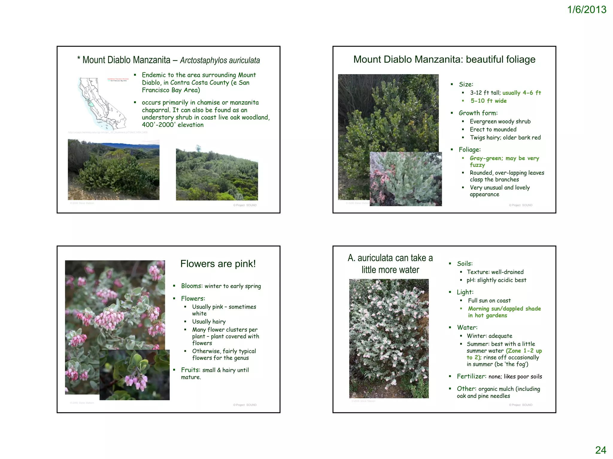1/6/2013



       * Mount Diablo Manzanita – Arctostaphylos auriculata                                                           Mount Diablo Manzanita: beautiful foliage
                                                         Endemic to the area surrounding Mount
                                                          Diablo, in Contra Costa County (e San                                               Size:
                                                          Francisco Bay Area)                                                                        3-12 ft tall; usually 4-6 ft
                                                         occurs primarily in chamise or manzanita                                                   5-10 ft wide
                                                          chaparral. It can also be found as an                                               Growth form:
                                                          understory shrub in coast live oak woodland,
                                                                                                                                                     Evergreen woody shrub
                                                          400'-2000' elevation
http://ucjeps.berkeley.edu/cgi-bin/get_JM_treatment.pl?3449,3454,3456
                                                                                                                                                     Erect to mounded
                                                                                                                                                     Twigs hairy; older bark red

                                                                                                                                              Foliage:
                                                                                                                                                     Gray-green; may be very
                                                                                                                                                      fuzzy
                                                                                                                                                     Rounded, over-lapping leaves
                                                                                                                                                      clasp the branches
                                                                                                                                                     Very unusual and lovely
                                                                                                                                                      appearance
 © 2006 Steve Matson                                                                                             © 2006 Steve Matson
                                                                                               © Project SOUND                                                       © Project SOUND




                                                                                                                  A. auriculata can take a    Soils:
                                                                          Flowers are pink!
                                                                                                                      little more water           Texture: well-drained
                                                                                                                                                  pH: slightly acidic best
                                                                         Blooms: winter to early spring
                                                                                                                                              Light:
                                                                         Flowers:                                                                   Full sun on coast
                                                                               Usually pink – sometimes                                             Morning sun/dappled shade
                                                                                white                                                                 in hot gardens
                                                                               Usually hairy
                                                                               Many flower clusters per                                      Water:
                                                                                plant – plant covered with                                        Winter: adequate
                                                                                flowers                                                           Summer: best with a little
                                                                               Otherwise, fairly typical                                          summer water (Zone 1-2 up
                                                                                flowers for the genus                                              to 2); rinse off occasionally
                                                                                                                                                   in summer (be ‘the fog’)
                                                                         Fruits: small & hairy until
                                                                           mature.                                                            Fertilizer: none; likes poor soils

                                                                                                                                              Other: organic mulch (including
                                                                                                                                                oak and pine needles
                                                                                                                     © 2006 Steve Matson
 © 2006 Steve Matson
                                                                                               © Project SOUND                                                       © Project SOUND




                                                                                                                                                                                            24
 