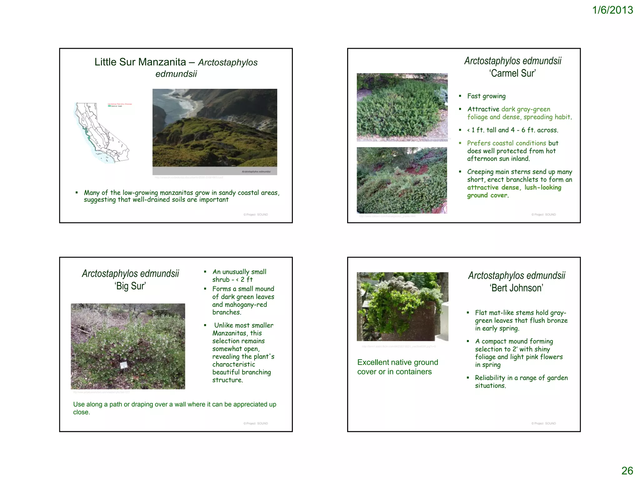 1/6/2013



                    Little Sur Manzanita – Arctostaphylos                                                                                                                                                                                     Arctostaphylos edmundsii
                                                          edmundsii                                                                                                                                                                                 ‘Carmel Sur’

                                                                                                                                                                                                                                             Fast growing

                                                                                                                                                                                                                                             Attractive dark gray-green
                                                                                                                                                                                                                                              foliage and dense, spreading habit.

                                                                                                                                                                                                                                             < 1 ft. tall and 4 - 6 ft. across.
                                                                                                                                      http://www.laspilitas.com/nature-of-california/plants/arctostaphylos-edmundsii-carmel-sur-manzanita

                                                                                                                                                                                                                                             Prefers coastal conditions but
                                                                                                                                                                                                                                              does well protected from hot
                                                                                                                                                                                                                                              afternoon sun inland.

                                                                                                                                                                                                                                             Creeping main sterns send up many
                                                                                                                                                                                                                                              short, erect branchlets to form an
                                                          http://slosson.ucdavis.edu/documents/2005-200610653.pdf



                                                                                                                                                                                                                                              attractive dense, lush-looking
  Many of the low-growing manzanitas grow in sandy coastal areas,                                                                                                                                                                            ground cover.
   suggesting that well-drained soils are important

                                                                                                                    © Project SOUND                                                                                                                                   © Project SOUND
                                                                                                                                        http://www.calown.com/nativegarden_plants.html




        Arctostaphylos edmundsii                                                                  An unusually small
                                                                                                   shrub - < 2 ft                                                                                                                              Arctostaphylos edmundsii
                ‘Big Sur’                                                                         Forms a small mound                                                                                                                              ‘Bert Johnson’
                                                                                                   of dark green leaves
                                                                                                   and mahogany-red
                                                                                                   branches.                                                                                                                                   Flat mat-like stems hold gray-
                                                                                                                                                                                                                                                green leaves that flush bronze
                                                                                                        Unlike most smaller                                                                                                                    in early spring.
                                                                                                        Manzanitas, this
                                                                                                        selection remains                                                                                                                      A compact mound forming
                                                                                                        somewhat open,                                                                                                                          selection to 2’ with shiny
                                                                                                                                          http://farm1.static.flickr.com/84/238318221_cec3be656f.jpg?v=0



                                                                                                        revealing the plant's                                                                                                                   foliage and light pink flowers
                                                                                                        characteristic                Excellent native ground                                                                                   in spring
                                                                                                        beautiful branching           cover or in containers
                                                                                                        structure.                                                                                                                             Reliability in a range of garden
                                                                                                                                                                                                                                                situations.
http://www.yerbabuenanursery.com/viewplant.php?pid=1277




Use along a path or draping over a wall where it can be appreciated up
close.
                                                                                                                    © Project SOUND                                                                                                                                   © Project SOUND




                                                                                                                                                                                                                                                                                             26
 