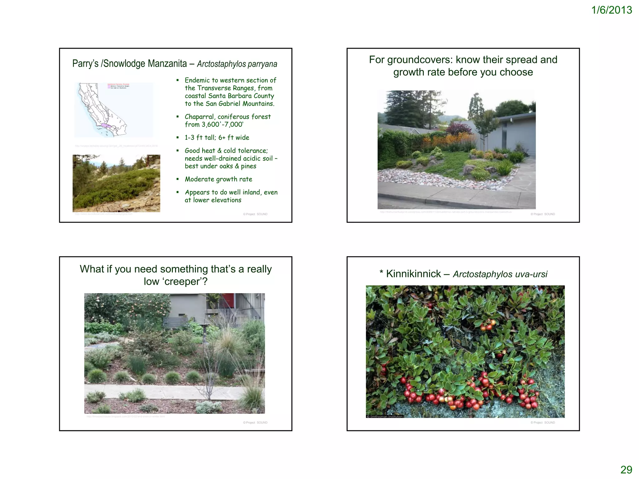 1/6/2013




Parry’s /Snowlodge Manzanita – Arctostaphylos parryana                                                              For groundcovers: know their spread and
                                                                                                                         growth rate before you choose
                                                                             Endemic to western section of
                                                                              the Transverse Ranges, from
                                                                              coastal Santa Barbara County
                                                                              to the San Gabriel Mountains.

                                                                             Chaparral, coniferous forest
                                                                              from 3,600'-7,000‘

                                                                             1-3 ft tall; 6+ ft wide
http://ucjeps.berkeley.edu/cgi-bin/get_JM_treatment.pl?3449,3454,3516

                                                                             Good heat & cold tolerance;
                                                                              needs well-drained acidic soil –
                                                                              best under oaks & pines

                                                                             Moderate growth rate

                                                                             Appears to do well inland, even
                                                                              at lower elevations
                                                                                                                      http://thehumanfootprint.wordpress.com/2009/11/29/california-natives-part-3-groundcovers-manzanitas-ceanothus/
http://www.worldbotanical.com/arctostaphylos.htm                                                  © Project SOUND                                                                                                                      © Project SOUND




   What if you need something that’s a really                                                                         * Kinnikinnick – Arctostaphylos uva-ursi
                 low ‘creeper’?




         http://tmousecmouse.blogspot.com/2010/02/and-even-in-winter.html

                                                                                                  © Project SOUND                                                                                                                      © Project SOUND




                                                                                                                                                                                                                                                              29
 
