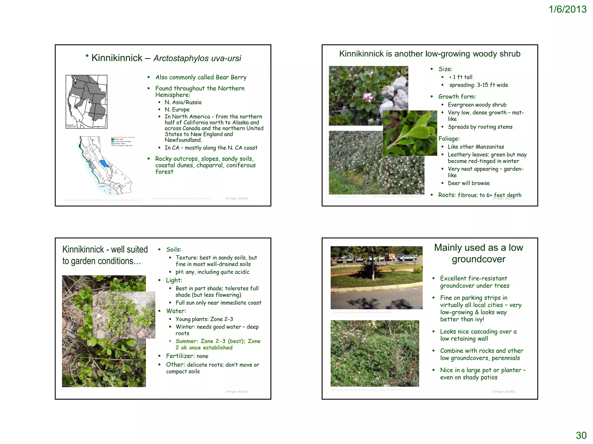 1/6/2013



                                                                                                                                                           Kinnikinnick is another low-growing woody shrub
                  * Kinnikinnick – Arctostaphylos uva-ursi
                                                                                                                                                                                                                                                Size:
                                                                         Also commonly called Bear Berry                                                                                                                                             < 1 ft tall
                                                                                                                                                                                                                                                      spreading: 3-15 ft wide
                                                                         Found throughout the Northern
                                                                          Hemisphere:                                                                                                                                                           Growth form:
                                                                                N. Asia/Russia                                                                                                                                                     Evergreen woody shrub
                                                                                N. Europe
                                                                                                                                                                                                                                                    Very low, dense growth – mat-
                                                                                In North America - from the northern                                                                                                                                like
                                                                                 half of California north to Alaska and
                                                                                 across Canada and the northern United
                                                                                                                                                    © 2007 Matt Below
                                                                                                                                                                                                                                                    Spreads by rooting stems
                                                                                 States to New England and
                                                                                 Newfoundland.                                                                                                                                                  Foliage:
                                                                                In CA – mostly along the N. CA coast                                                                                                                               Like other Manzanitas
                                                                                                                                                                                                                                                    Leathery leaves; green but may
                                                                         Rocky outcrops, slopes, sandy soils,                                                                                                                                       become red-tinged in winter
                                                                          coastal dunes, chaparral, coniferous
                                                                                                                                                                                                                                                    Very neat appearing – garden-
                                                                          forest
                                                                                                                                                                                                                                                     like
                                                                                                                                                                                                                                                    Deer will browse

                                                                         http://www.swsbm.com/maps/Arctostaphylos_uva-ursi.gif   © Project SOUND
                                                                                                                                                      © 2005 Steve Matson                     http://oregonstate.edu/dept/ldplants/aruv2.htm    Roots: fibrous; to 6+ ©feetSOUND
                                                                                                                                                                                                                                                                        Project
                                                                                                                                                                                                                                                                                depth
http://ucjeps.berkeley.edu/cgi-bin/get_JM_treatment.pl?3449,3454,3542




Kinnikinnick - well suited                                                      Soils:                                                                                                                                                         Mainly used as a low
                                                                                         Texture: best in sandy soils, but
to garden conditions…                                                                     fine in most well-drained soils
                                                                                                                                                                                                                                                   groundcover
                                                                                         pH: any, including quite acidic
                                                                                Light:                                                                                                                                                         Excellent fire-resistant
                                                                                         Best in part shade; tolerates full                                                                                                                     groundcover under trees
                                                                                          shade (but less flowering)
                                                                                                                                                                                                                                                Fine on parking strips in
                                                                                         Full sun only near immediate coast                          http://www.hort.uconn.edu/plants/a/arcuva/arcuva3.html                                     virtually all local cities – very
                                                                                Water:                                                             http://www.hort.uconn.edu/plants/a/arcuva/arcuva3.html                                       low-growing & looks way
                                                                                         Young plants: Zone 2-3                                                                                                                                 better than ivy!
                                                                                         Winter: needs good water – deep
                                                                                          roots                                                                                                                                                 Looks nice cascading over a
                                                                                         Summer: Zone 2-3 (best); Zone                                                                                                                          low retaining wall
                                                                                          2 ok once established
                                                                                                                                                                                                                                                Combine with rocks and other
                                                                                Fertilizer: none                                                                                                                                                low groundcovers, perennials
                                                                                Other: delicate roots; don’t move or
                                                                                      compact soils                                                                                                                                             Nice in a large pot or planter –
                                                                                                                                                                                                                                                 even on shady patios
                                                                                                                                                   http://courses.washington.edu/ehuf331/Plant_Pages_subfolders/ERICACEAE.shtml
                                                                                                                                 © Project SOUND                                                                                                                        © Project SOUND




                                                                                                                                                                                                                                                                                               30
 