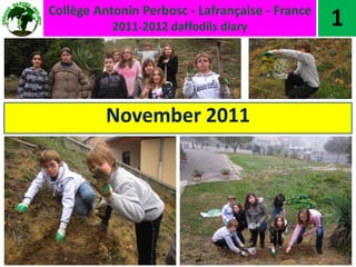 Collège Antonin Perbosc - Lafrançaise - France
           2011-2012 daffodils diary             1


          November 2011
 