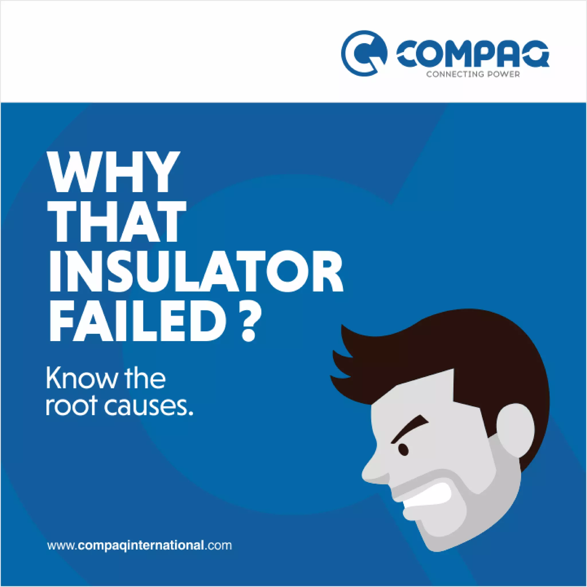 12 Examples of Insulator failure modes and also their root cause. PDF