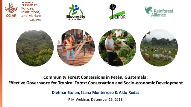 Community Forest Concessions in Petén, Guatemala:
Effective Governance for Tropical Forest Conservation and Socio-economic...