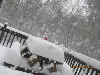 Duxbury Snow Storm December 19-20, 2009