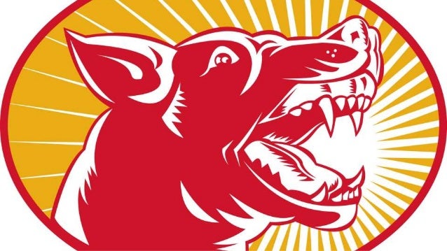 What does being an alpha really mean 