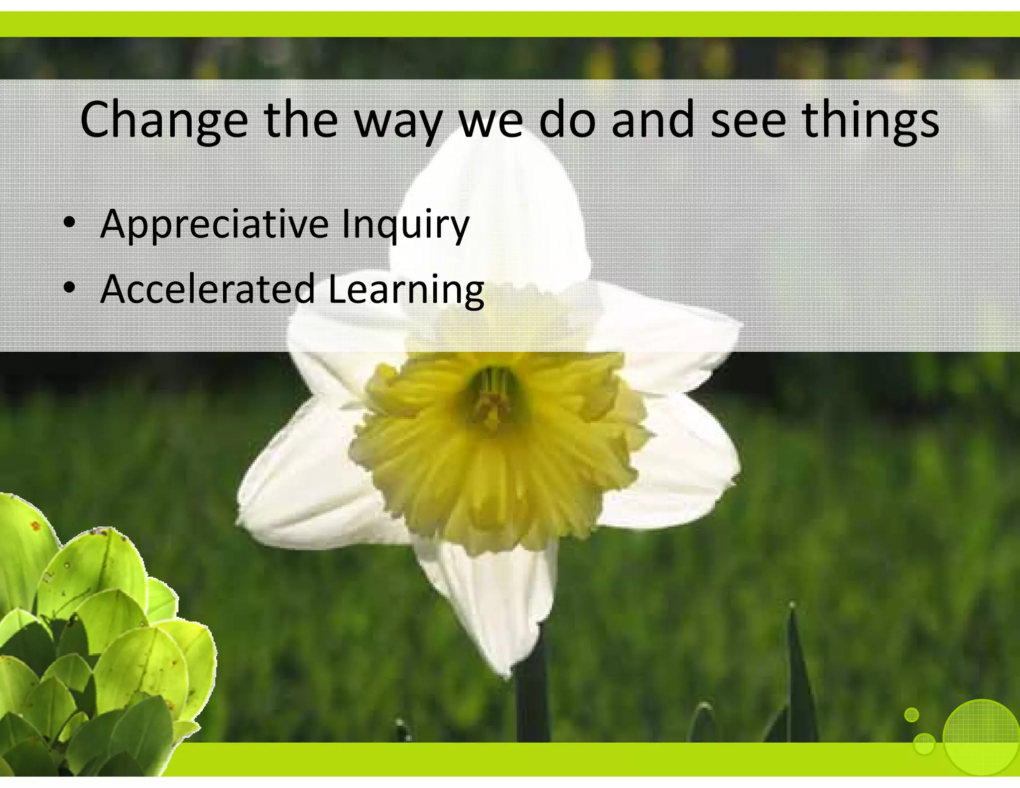 Change the way we do and see things
Ch     th         d    d     thi
• Appreciative Inquiry
• Accelerated Learning
  Accelerated Learning
 