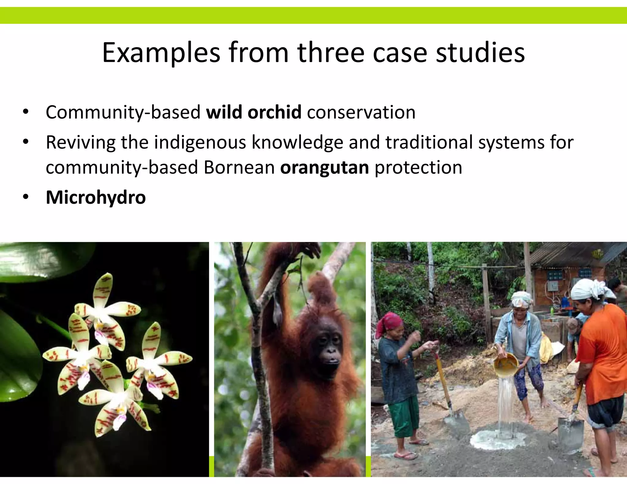 Examples from three case studies
             p
• Community‐based wild orchid conservation
• Reviving the indigenous knowledge and traditional systems for 
  community‐based Bornean orangutan protection
• Microhydro
 
