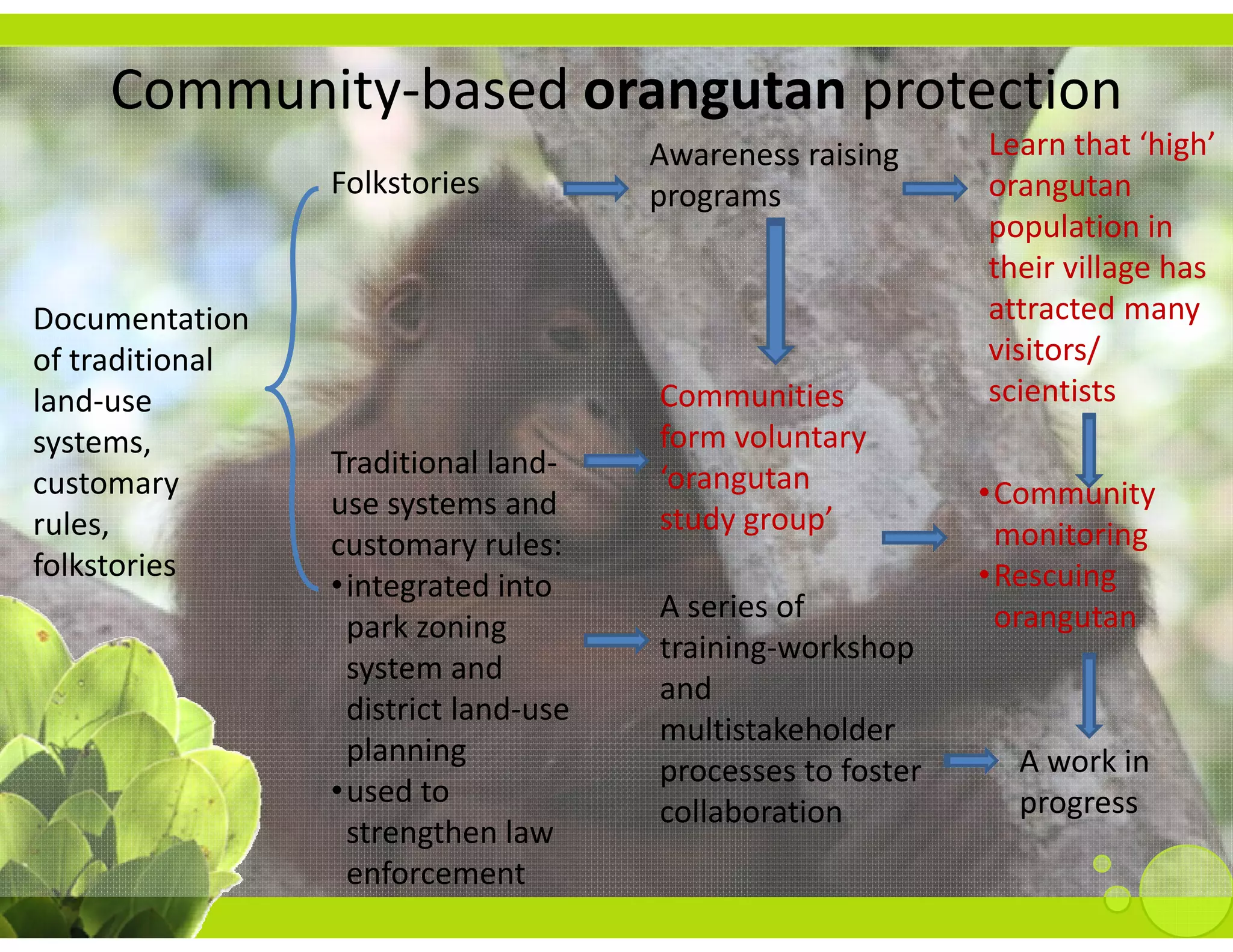 Community‐based orangutan protection
                                        Awareness raising      Learn that ‘high’ 
                  Folkstories           programs               orangutan 
                                                               population in 
                                                               their village has 
Documentation                                                  attracted many 
of traditional 
of traditional                                                 visitors/ 
                                                                 s to s/
land‐use                                Communities            scientists
systems,                                form voluntary 
                  Traditional land‐      orangutan 
                                        ‘orangutan
customary 
    t                                                          •Community 
                  use systems and       study group’
rules,                                                          monitoring
                  customary rules:
folkstories                                                            g
                                                               •Rescuing 
                  •integrated into
                   integrated into 
                                        A series of             orangutan
                   park zoning 
                                        training‐workshop 
                   system and 
                                        and 
                   district land‐use 
                   district land use
                                        multistakeholder
                   planning                                      A work in 
                                        processes to foster 
                  •used to                                       progress
                                        collaboration
                   strengthen law 
                           h l
                   enforcement
 