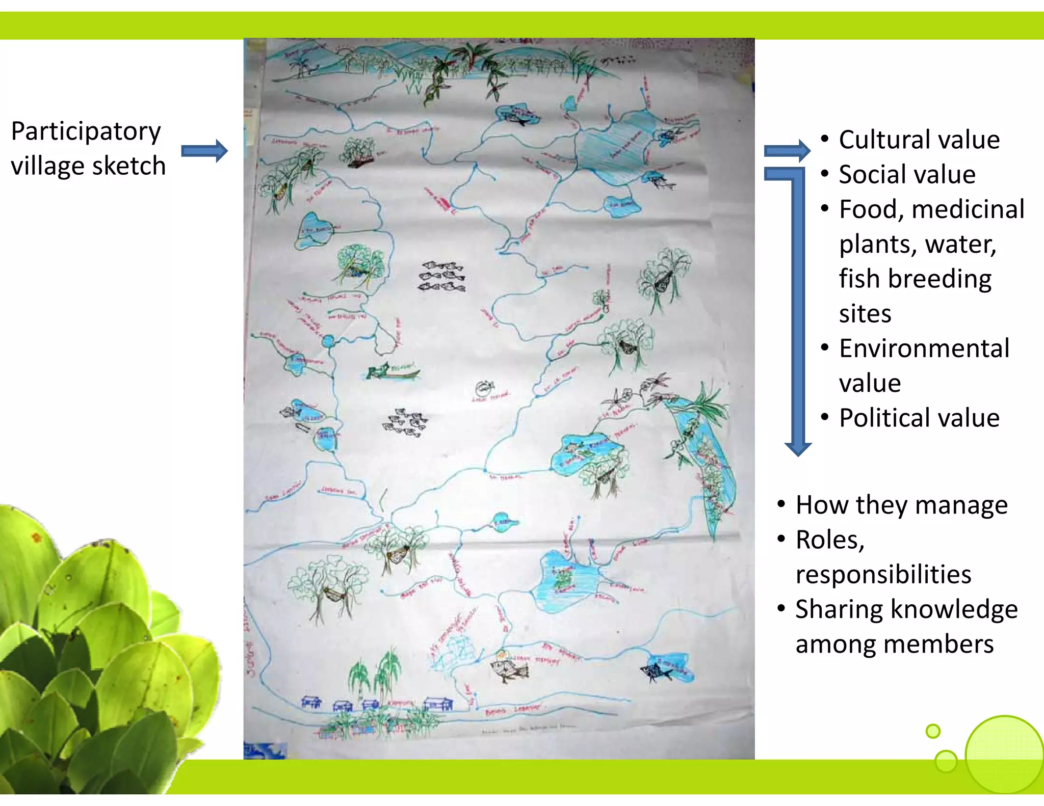 Participatory       • Cultural value
village sketch      • Social value
                    • Food medicinal
                      Food, medicinal 
                      plants, water, 
                      fish breeding 
                      sites
                       i
                    • Environmental 
                      value
                    • Political value

                 • How they manage
                   How they manage
                 • Roles, 
                   responsibilities
                 • Sharing knowledge 
                    h      k      l d
                   among members
 