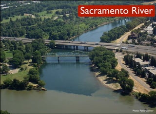 Decadal Signals In Precipitation