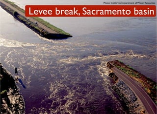 Decadal Signals In Precipitation