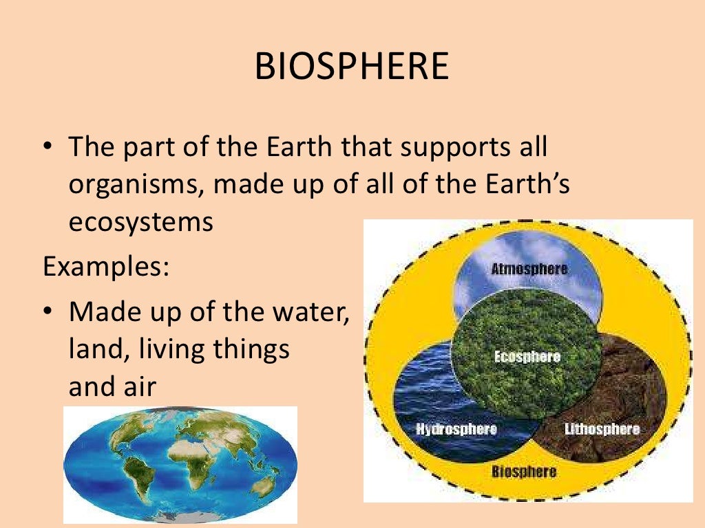 Ecology Levels of Organization