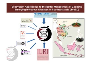 A decade of EcoHealth One Health in Southeast Asia: An inventory on selected initiatives, experiences and lessons learned