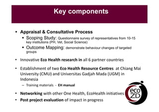 A decade of EcoHealth One Health in Southeast Asia: An inventory on selected initiatives, experiences and lessons learned