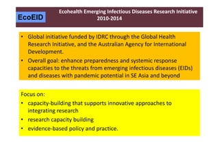 A decade of EcoHealth One Health in Southeast Asia: An inventory on selected initiatives, experiences and lessons learned