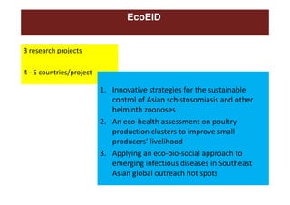 A decade of EcoHealth One Health in Southeast Asia: An inventory on selected initiatives, experiences and lessons learned