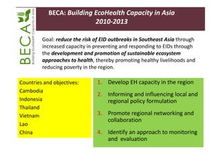 A decade of EcoHealth One Health in Southeast Asia: An inventory on selected initiatives, experiences and lessons learned