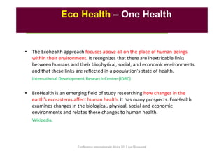 A decade of EcoHealth One Health in Southeast Asia: An inventory on selected initiatives, experiences and lessons learned