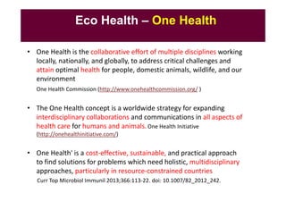A decade of EcoHealth One Health in Southeast Asia: An inventory on selected initiatives, experiences and lessons learned
