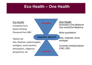 A decade of EcoHealth One Health in Southeast Asia: An inventory on selected initiatives, experiences and lessons learned