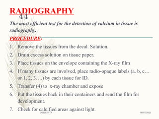Comprehensive Overview of Decalcification in Mineralised Tissues and ...