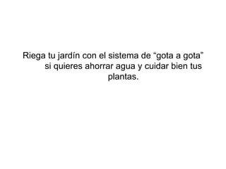 Riega tu jardín con el sistema de “gota a gota” si quieres ahorrar agua y cuidar bien tus plantas.