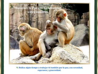 9. Dedica algún tiempo a trabajar tú también por la paz, con serenidad,
esperanza y generosidad.
Mantener la Paz con Generosidad
entre nosotros
 