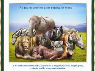 2. No hables mal contra nadie, no condenes a ninguna persona a ningún grupo,
a ningún pueblo, a ninguna institución.
No murmurar los unos contra los otros
 