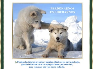 3. Perdona las injurias presentes y pasadas, líbrate de las garras del odio,
guarda la libertad de tu corazón para amar, para convivir,
para comenzar una vida nueva cada día.
PERDONARNOS
ES LIBERARNOS
 