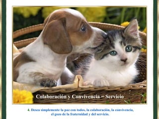 4. Desea simplemente la paz con todos, la colaboración, la convivencia,
el gozo de la fraternidad y del servicio.
Colaboración y Convivencia = Servicio
 
