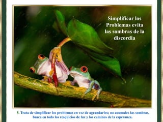 5. Trata de simplificar los problemas en vez de agrandarlos; no acumules las sombras,
busca en todo los resquicios de luz y los caminos de la esperanza.
Simplificar los
Problemas evita
las sombras de la
discordia
 