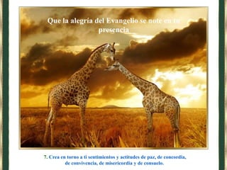7. Crea en torno a ti sentimientos y actitudes de paz, de concordia,
de convivencia, de misericordia y de consuelo.
Que la alegría del Evangelio se note en tu
presencia
 