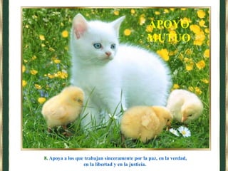 8. Apoya a los que trabajan sinceramente por la paz, en la verdad,
en la libertad y en la justicia.
APOYO
MUTUO
 