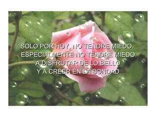 SOLO POR HOY, NO TENDRE MIEDO. ESPECIALMENTE NO TENDRE MIEDO A DISFRUTAR DE LO BELLO Y A CREER EN LA BONDAD