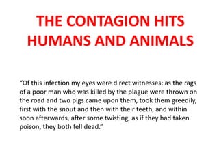 THE CONTAGION HITS
HUMANS AND ANIMALS
“Of this infection my eyes were direct witnesses: as the rags
of a poor man who was killed by the plague were thrown on
the road and two pigs came upon them, took them greedily,
first with the snout and then with their teeth, and within
soon afterwards, after some twisting, as if they had taken
poison, they both fell dead.”

 