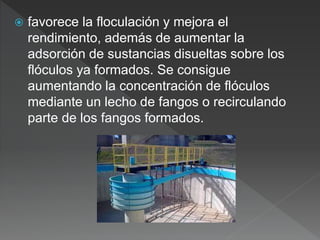  favorece la floculación y mejora el
rendimiento, además de aumentar la
adsorción de sustancias disueltas sobre los
flóculos ya formados. Se consigue
aumentando la concentración de flóculos
mediante un lecho de fangos o recirculando
parte de los fangos formados.
 