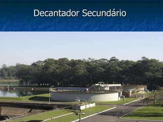 Decantador Secundário   