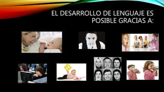EL DESARROLLO DE LENGUAJE ES
POSIBLE GRACIAS A:
 