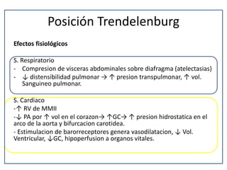 Posición Trendelenburg
Efectos fisiológicos
S. Respiratorio
- Compresion de visceras abdominales sobre diafragma (atelectasias)
- ↓ distensibilidad pulmonar → ↑ presion transpulmonar, ↑ vol.
Sanguineo pulmonar.
S. Cardiaco
-↑ RV de MMII
-↓ PA por ↑ vol en el corazon→ ↑GC→ ↑ presion hidrostatica en el
arco de la aorta y bifurcacion carotidea.
- Estimulacion de barorreceptores genera vasodilatacion, ↓ Vol.
Ventricular, ↓GC, hipoperfusion a organos vitales.
 