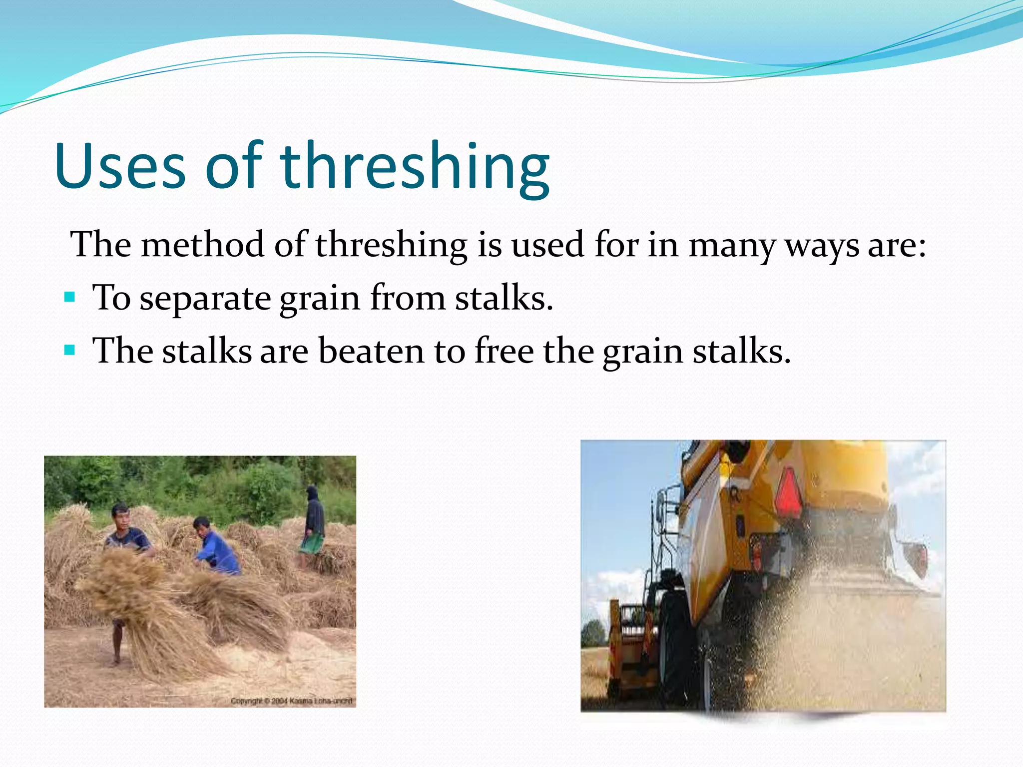 Uses of threshing
The method of threshing is used for in many ways are:
 To separate grain from stalks.
 The stalks are beaten to free the grain stalks.
 