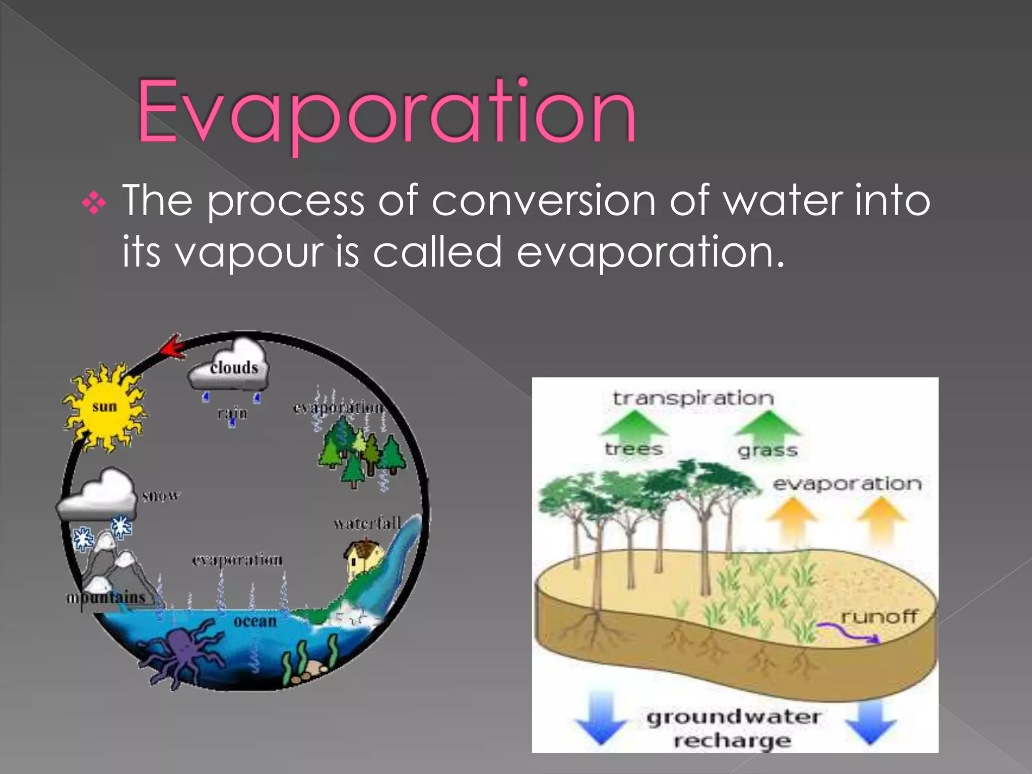  The process of conversion of water into
its vapour is called evaporation.
 