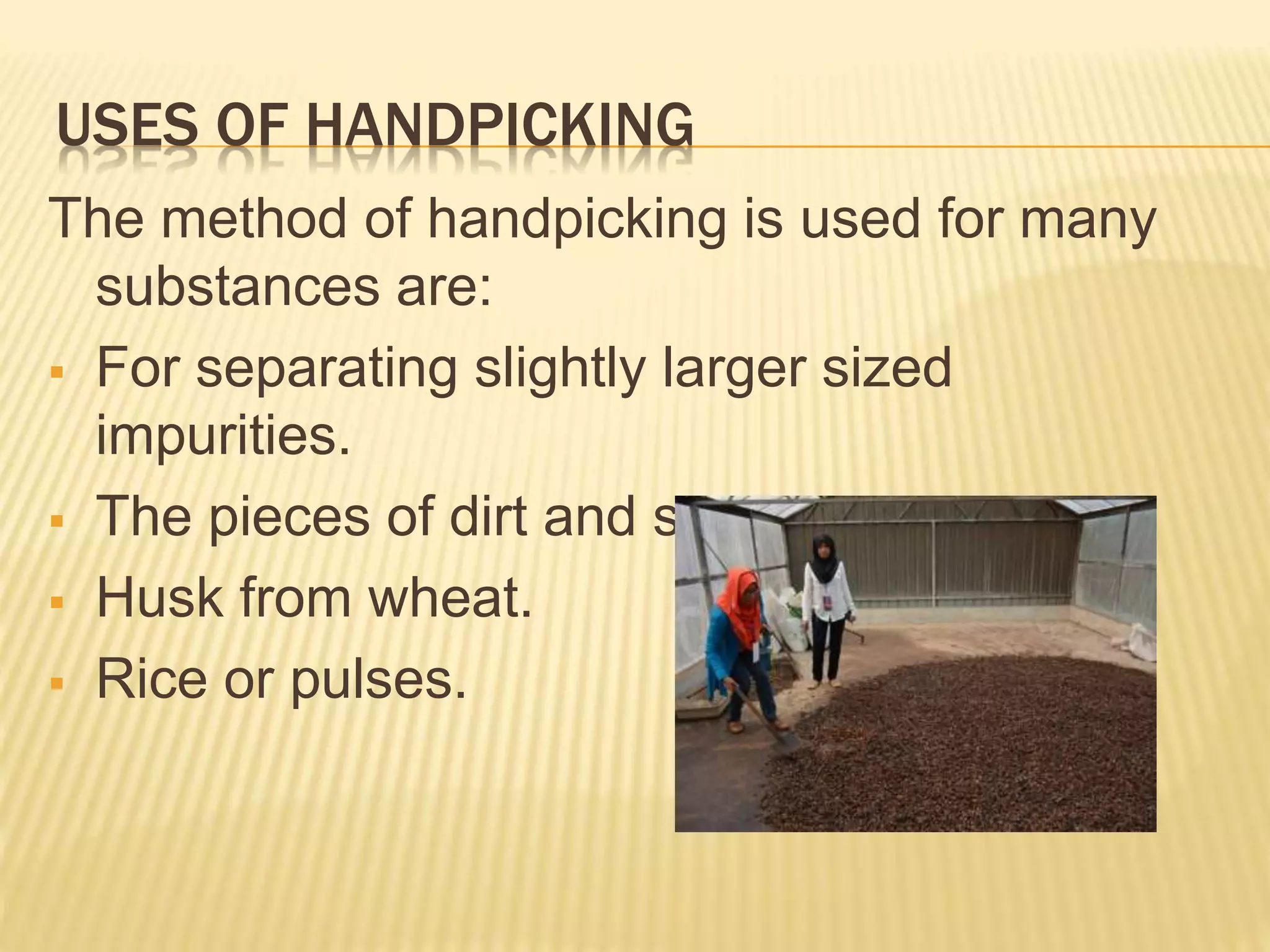 USES OF HANDPICKING
The method of handpicking is used for many
substances are:
 For separating slightly larger sized
impurities.
 The pieces of dirt and stone.
 Husk from wheat.
 Rice or pulses.
 