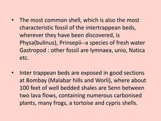 • The most common shell, which is also the most
characteristic fossil of the intertrappean beds,
wherever they have been discovered, is
Physa(bulinus), Prinsepii--a species of fresh water
Gastropod : other fossil are lymnaea, unio, Natica
etc.
• Inter trappean beds are exposed in good sections
at Bombay (Malabar hills and Worli), where about
100 feet of well bedded shales are Senn between
two lava flows, containing numerous carbonised
plants, many frogs, a tortoise and cypris shells.
 