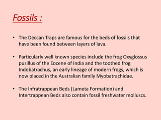 • The Deccan Traps are famous for the beds of fossils that
have been found between layers of lava.
• Particularly well known species include the frog Oxyglossus
pusillus of the Eocene of India and the toothed frog
Indobatrachus, an early lineage of modern frogs, which is
now placed in the Australian family Myobatrachidae.
• The Infratrappean Beds (Lameta Formation) and
Intertrappean Beds also contain fossil freshwater molluscs.
Fossils :
 