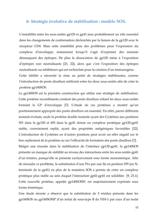 12
B- Stratégie évolutive de stabilisation : modèle SOS.
L’instabilité entre les sous-unités gp120 et gp41 joue probablement un rôle essentiel
dans les changements de conformation déclenchés par la liaison de la gp120 avec le
récepteur CD4. Mais cette instabilité pose des problèmes pour l’expression du
complexe d’enveloppe, notamment lorsqu’il s’agit d’exprimer des mutants
démasquant des épitopes. De plus la dissociation de gp120 mène à l’exposition
d’épitopes non neutralisants [21, 22], alors que c’est l’exposition des épitopes
neutralisants ou inhibiteurs qui est recherchée pour la création d’un immunogène.
Cette labilité a nécessité la mise au point de stratégies stabilisantes, comme
l’introduction de ponts disulfure artificiels entre les deux sous-unités afin de créer la
protéine gp140SOS.
La gp140SOS est la première construction qui utilise une stratégie de stabilisation.
Cette protéine recombinante contient des ponts disulfure reliant les deux sous-unités
formant la GP d’enveloppe [7]. L’étude de ces protéines a montré qu’un
positionnement approprié des ponts disulfure est essentiel. En effet, parmi différents
mutants évalués, seule la protéine double mutante ayant des Cystéines aux positions
501 dans la gp120 et 605 dans la gp41 donne un complexe protéique gp120-gp41
stable, correctement replié, ayant des propriétés antigéniques favorables [22].
L’introduction de Cystéines en d’autres positions peut avoir un effet négatif sur le
bon repliement de la protéine ou sur l’efficacité de formation des ponts disulfure [7].
Malgré une réussite dans la stabilisation de l’interface gp120-gp41, la gp140SOS
présente un manque de stabilité au niveau des interactions entre les sous-unités gp41
d’un trimère, puisqu’elle se présente exclusivement sous forme monomérique. Afin
de résoudre ce problème, la substitution d’une Pro par une Ile en position 559 (en N-
terminale de la gp41) en plus de la mutation SOS a permis de créer un complexe
protéique plus stable au sein duquel l’interaction gp41-gp41 est solidifiée [9, 23,1].
Cette nouvelle protéine, appelée gp140SOSIP, est majoritairement exprimée sous
forme trimérique.
Une étude récente a observé que la substitution de 5 résidus présents dans les
gp140SOS ou gp140SOSIP d’un isolat de sous-type B du VIH-1 par ceux d’un isolat
 
