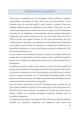 20
Conclusions et perspectives
Deux types de modifications ont été développées afin de stabiliser le complexe
glycoprotéique d’enveloppe du VIH-1. D’une part, des ponts disulfure ont été
introduits entre les sous-unités gp120 et gp41 formant le complexe. Dans cette
stratégie, différents degrés de stabilisation ont été établis. D’autre part, ces sous-
unités ont été fusionnées par mutation dans le site de clivage. Ces GP recombinantes,
d’un point de vue antigénique et immunogénique, ont des propriétés intéressantes
puisqu’elles sont reconnues efficacement par des AcN (comme 2G12, b12, 2F5 et
4E10) et qu’elles sont capables d’induire ces AcN après administration dans des
modèles animaux. Néanmoins, cette induction n’est pas suffisante pour l’élaboration
d’un candidat vaccin anti-VIH. C’est pourquoi ces modifications stabilisantes sont
aujourd’hui combinées avec d’autres, afin d’exposer au mieux les épitopes des AcN
pour induire fortement ces Ac.
Les plus étudiées sont les délétions de boucles variables ou les déglycosylations de
certains sites de N-glycosylation. En effet, certaines boucles variables de la gp120 et
certains sucres masquent des épitopes qui peuvent avoir un rôle important pour la
neutralisation.
La délétion de boucles variable la plus étudiée est celle de la boucle variable V2
puisqu’elle peut augmenter l’immunogénicité de la GP d’enveloppe du VIH-1 [3, 29].
Concernant les mutations des sites de glycosylations, une étude récente a observé
que des macaques immunisés avec un immunogène d’enveloppe délété de cinq
glycanes montraient clairement une meilleur réponse humorale neutralisante que les
animaux immunisés avec la protéine sauvage [30].
Une autre étude a été réalisée sur une GP d’enveloppe mutée sur quatre sites de
glycosylation et délétée de la boucle V2. On constate que les AcN à large spectre 447-
52D, 2F5 et b12 se lient fortement à ces mutants [31]. On peut donc penser que les
boucles variables et les glycanes interagissent fortement, modifiant ainsi les
propriétés d’antigénicité.
Le complexe glycoprotéique d’enveloppe du VIH-1 offre tout un panel de mutations
possibles qui permettent d’augmenter son antigénicité mais surtout son
 