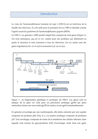 3
Introduction
Le virus de l’immunodéficience humaine de type 1 (VIH-1) est un lentivirus de la
famille des rétrovirus. Il a été isolé pour la première fois en 1983 et identifié comme
l’agent causal du syndrôme de l’immunodéficience acquise (SIDA).
Le VIH-1 a un génome à ARN positif simple brin composé de neuf gènes (Figure 1).
Les trois principaux, gag pol et env, codent pour des protéines qui définissent en
partie la structure et sont communs à tous les rétrovirus. Les six autres sont des
gènes régulateurs (tat, rev et nef) et accessoires (vif, vpr et vpu).
Figure 1 : A) Organisation génétique et protéique du VIH-1. Les gènes sont en
italique. B) Le gène env code pour un précurseur protéique gp160 qui après
maturation donne une sous-unité gp120 de surface et une gp41 transmembranaire.
Ce génome est protégé par une nucléocapside, elle-même entourée par une capside
composée de protéines p24. Puis, il y a la matrice protéique composée de protéines
p17. Une enveloppe, composée de restes de la membrane des cellules infectées, dans
laquelle sont ancrées les glycoprotéines (GP) d’enveloppe virale dont une gp41,
 