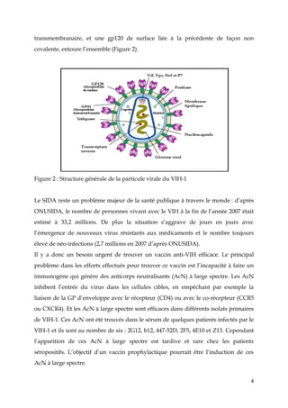 4
transmembranaire, et une gp120 de surface liée à la précédente de façon non
covalente, entoure l’ensemble (Figure 2).
Figure 2 : Structure générale de la particule virale du VIH-1
Le SIDA reste un problème majeur de la santé publique à travers le monde : d’après
ONUSIDA, le nombre de personnes vivant avec le VIH à la fin de l’année 2007 était
estimé à 33,2 millions. De plus la situation s’aggrave de jours en jours avec
l’émergence de nouveaux virus résistants aux médicaments et le nombre toujours
élevé de néo-infections (2,7 millions en 2007 d’après ONUSIDA).
Il y a donc un besoin urgent de trouver un vaccin anti-VIH efficace. Le principal
problème dans les efforts effectués pour trouver ce vaccin est l’incapacité à faire un
immunogène qui génère des anticorps neutralisants (AcN) à large spectre. Les AcN
inhibent l’entrée du virus dans les cellules cibles, en empêchant par exemple la
liaison de la GP d’enveloppe avec le récepteur (CD4) ou avec le co-récepteur (CCR5
ou CXCR4). Et les AcN à large spectre sont efficaces dans différents isolats primaires
de VIH-1. Ces AcN ont été trouvés dans le sérum de quelques patients infectés par le
VIH-1 et ils sont au nombre de six : 2G12, b12, 447-52D, 2F5, 4E10 et Z13. Cependant
l’apparition de ces AcN à large spectre est tardive et rare chez les patients
séropositifs. L’objectif d’un vaccin prophylactique pourrait être l’induction de ces
AcN à large spectre.
 
