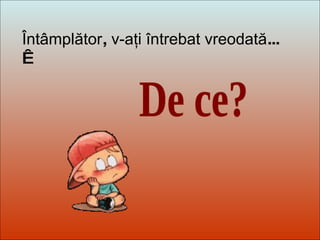 Dit-moi Pourquoi? De ce? Întâmplător ,  v-aţi întrebat vreodată ...   